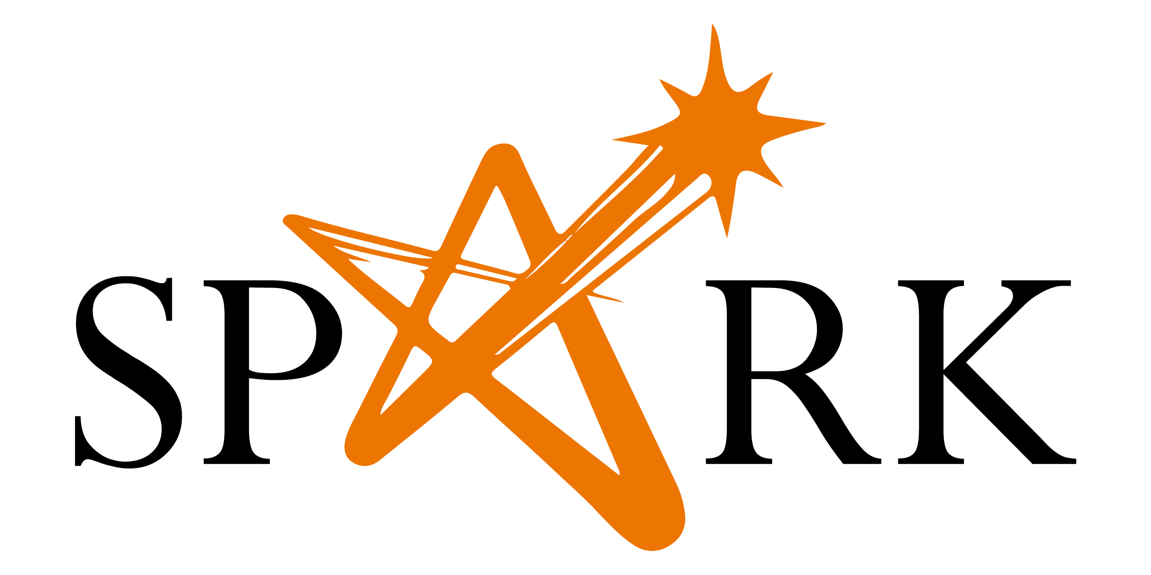 مهندس نظم هندسية