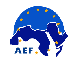 المؤسسة العربية الأوروبية للتدريب والاستشارات